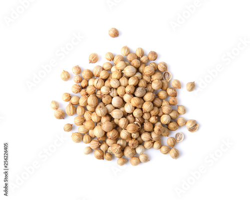 Coriander seeds  on white background