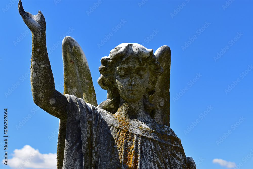 Obraz premium statue of an angel in a cemetery