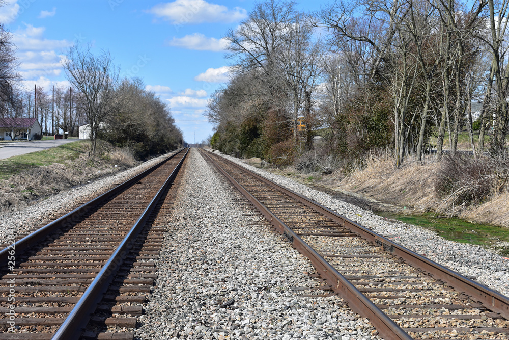 straight railway in forest