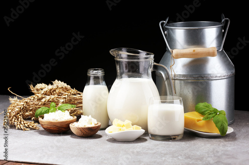 milk products - tasty healthy dairy products and milk jar and cheese