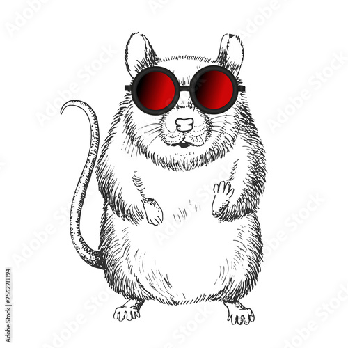 Graphics of black and white rat in red glasses on white background