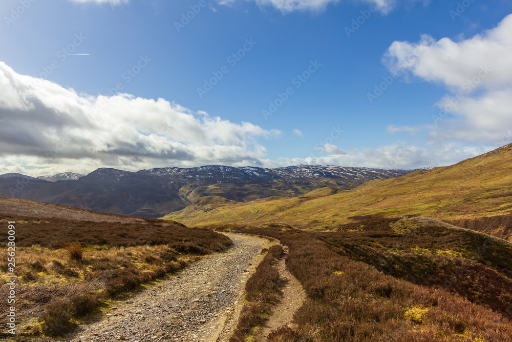 A mountain view with grassy slope, snowy summits and path under a majestic blue sky and white clouds