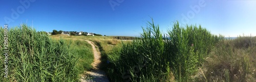 sur le chemin de la plage de raguenez en cornouaille bretagne