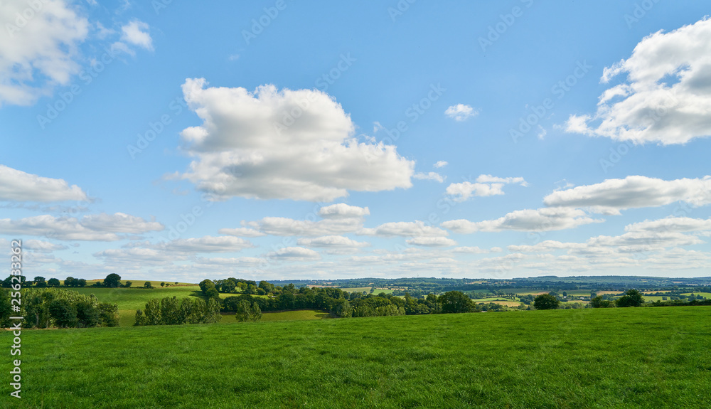 Green meadow and blue sky with white clouds