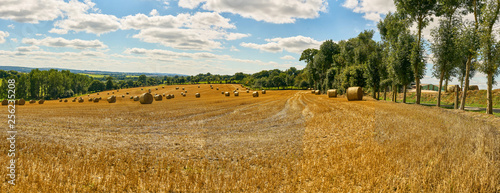 Landscape panorama with field after harvest in summer