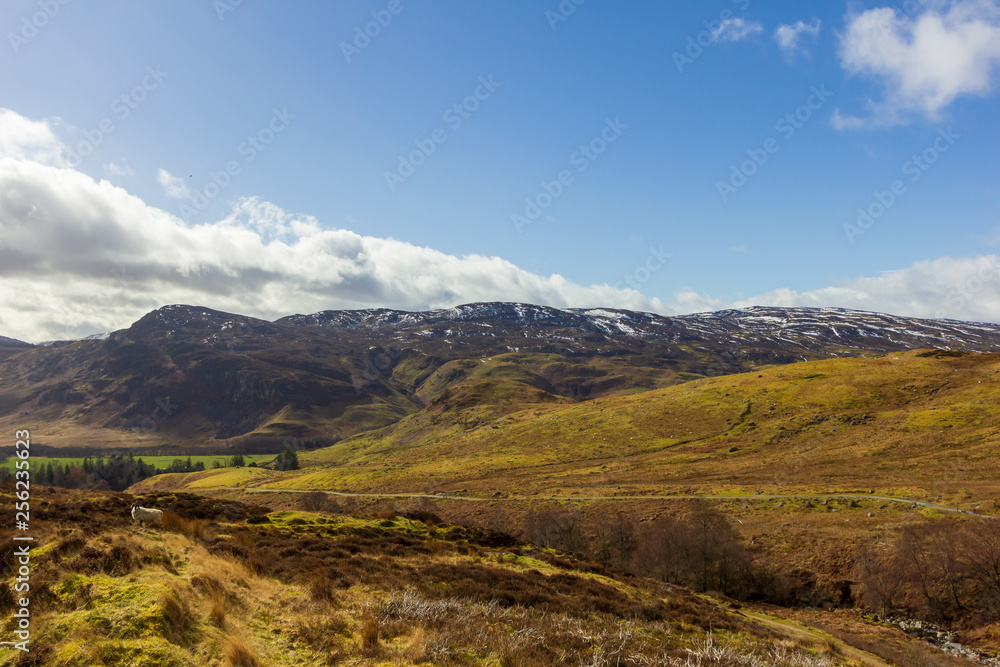 A view of a grassy mountain slope with some pine trees and other snowy mountain summits in the background under a majestic blue sky and white clouds