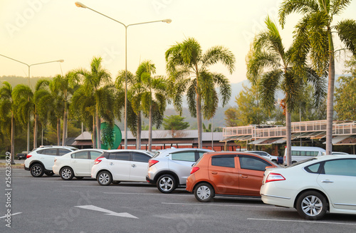 Image of cars parking in outdoor parking lot with palm trees and natural background in twilight evening of sunny day.  © Amphon