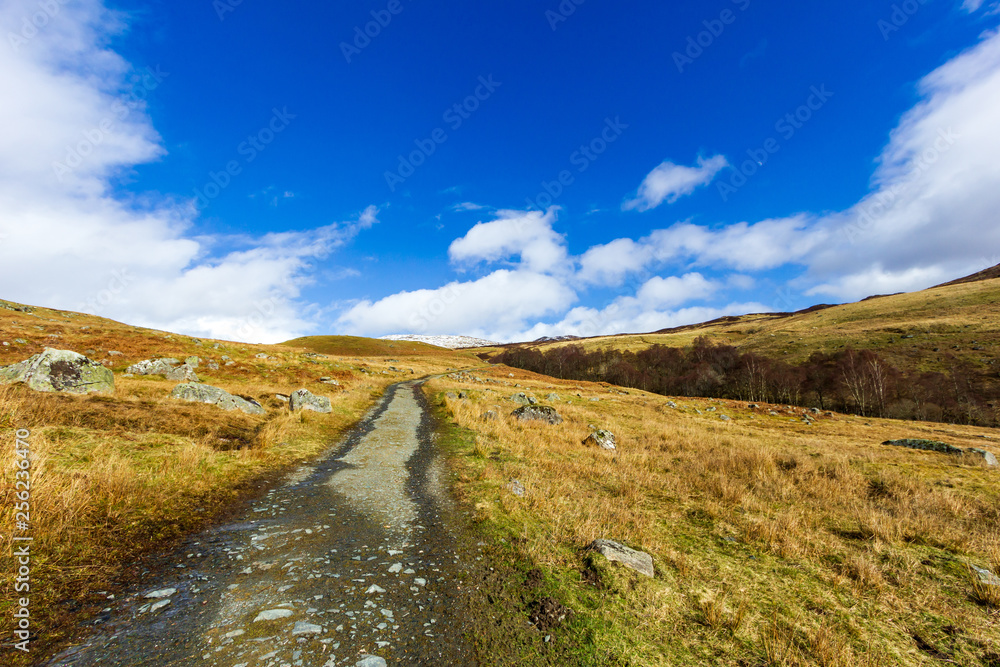 A view of a path on a grassy and rocky mountain slope with some trees and a snowy summit under a majestic blue sky and white clouds 