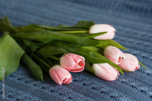 Fototapeta Naklejka Na Ścianę i Meble -  bouquet of beautiful pink tulips