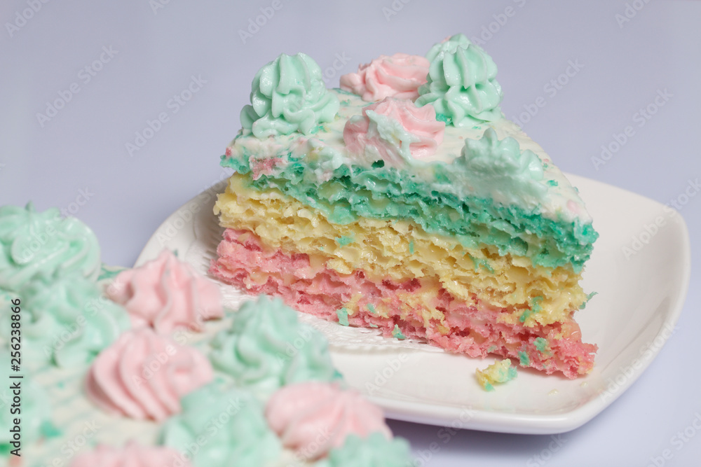 The piece is cut off and lies side by side on a saucer. Waffle cake made from cream soaked cakes. Decorated with cream flowers. The piece is cut off and lies side by side on a saucer. Waffle cake made from cream soaked cakes. Decorated with cream flowers.