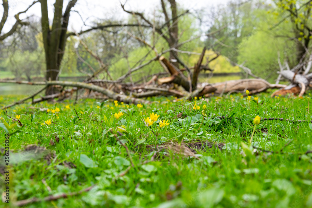 Spring in Braunschweig, Germany Spring in Braunschweig, Germany