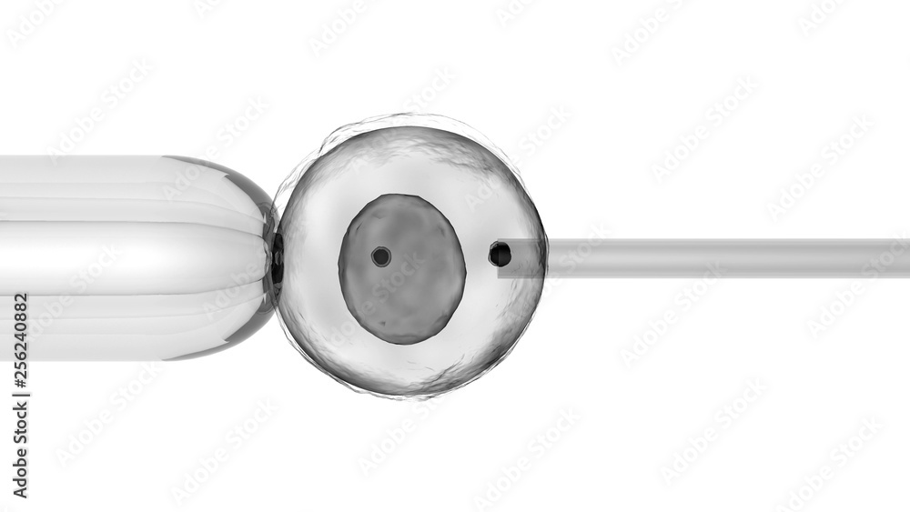 Cell injection macro view, cloning process, DNA material injected into ...