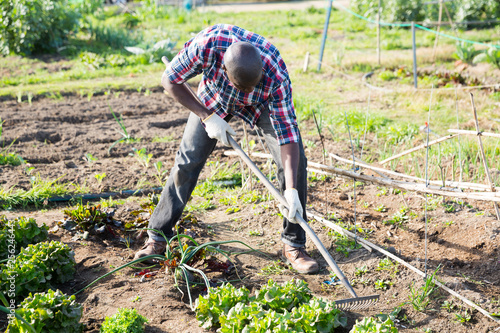 Gardener tilling soil at homestead