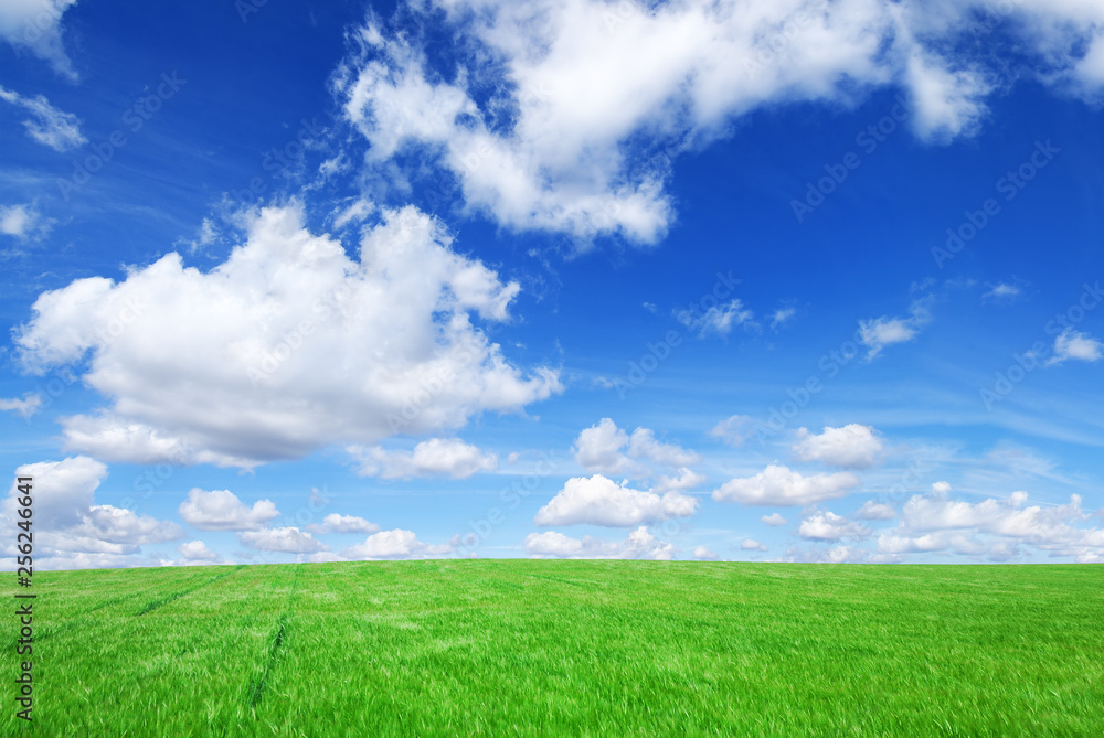 Fototapeta premium Idyllic view, green hills and blue sky