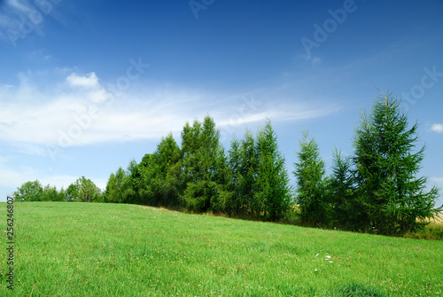 Landscape, view of green rolling fields