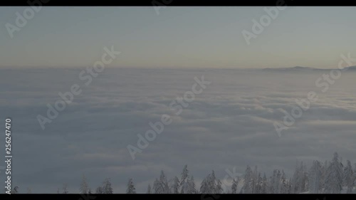 Wallpaper Mural Aerial drone view of sunrise in snowy mountains over clouds and white trees in winter  Torontodigital.ca