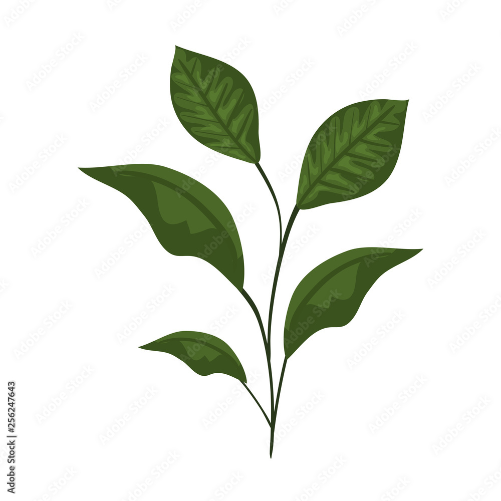 branch with leafs icon branch with leafs icon