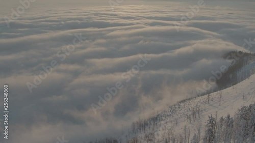 Wallpaper Mural Aerial drone view of sunrise in snowy mountains over clouds and white trees in winter  Torontodigital.ca