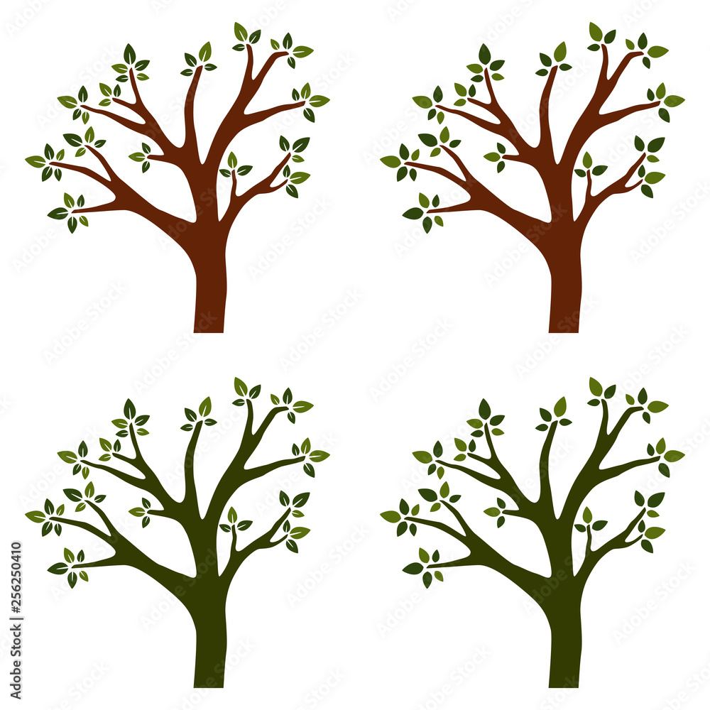 Obraz premium Trees isolated with branches on white background