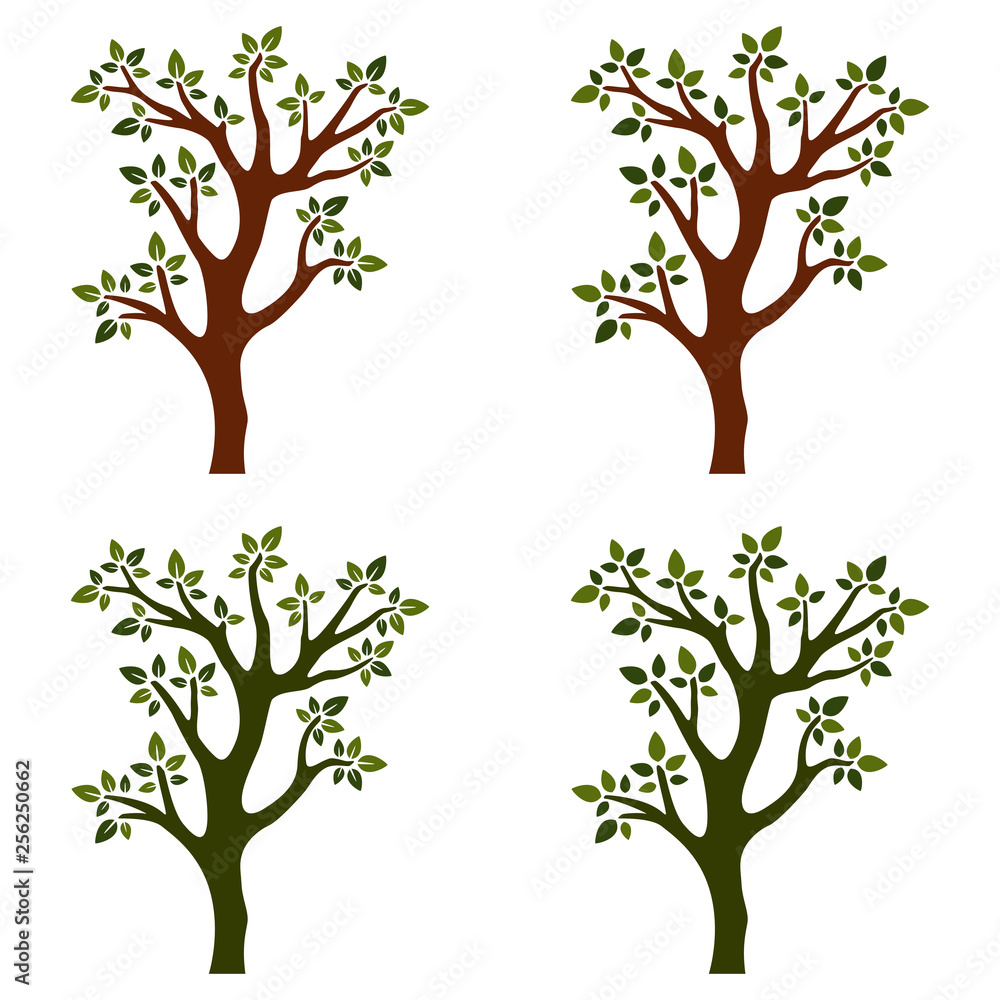 Obraz premium Trees isolated with branches on white background
