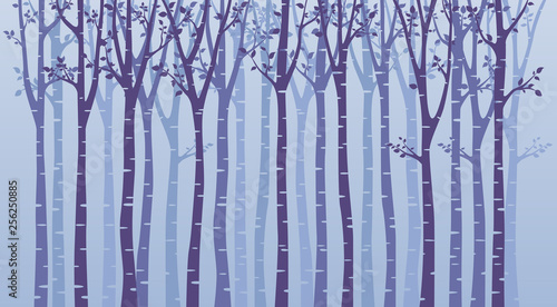 Birch tree wood silhouette on blue background
