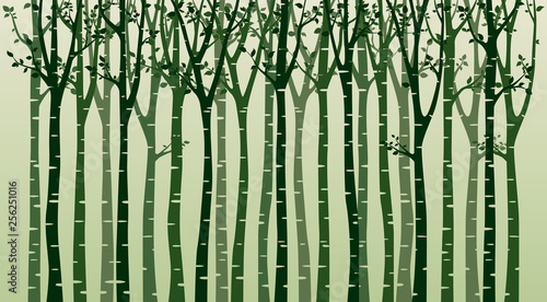 zielona-ilustracja-drzew
