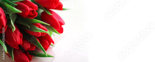 Red tulips spring flowers Valentine's or mother's Day greetings card template copy space
