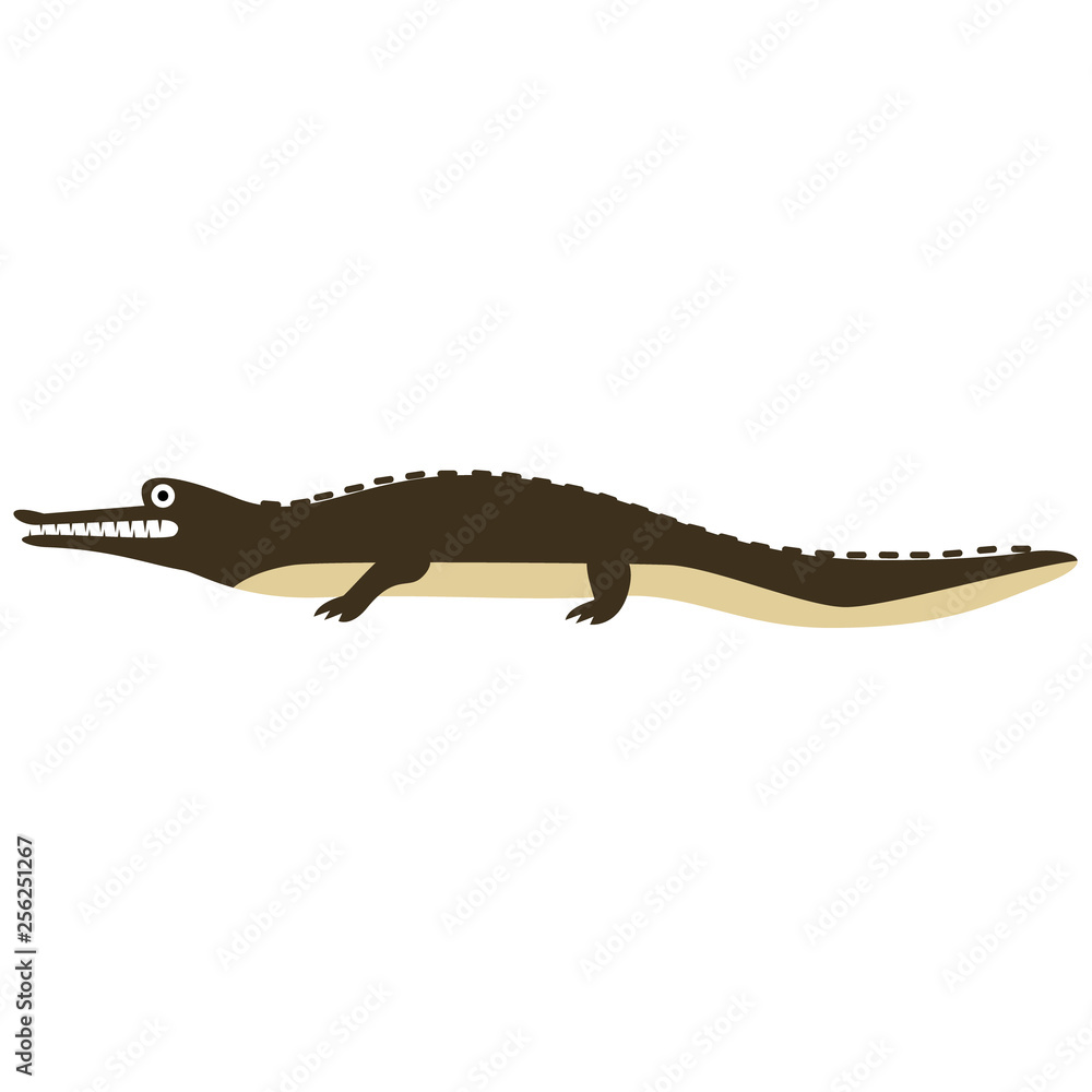 crocodile flat illustration crocodile flat illustration