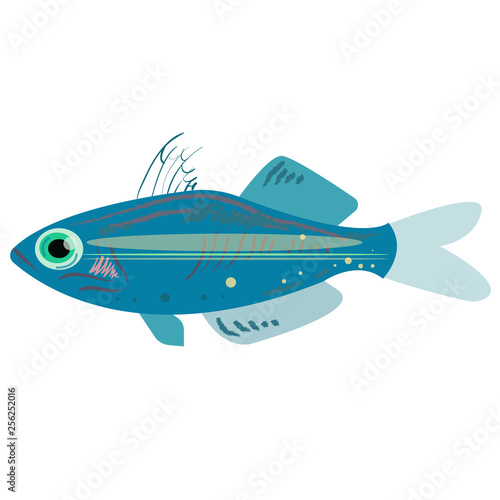 ocean fish flat illustration