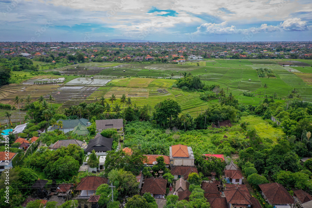 Bali village with rice terraced fields, aerial view, Canggu, Bali, Indonesia