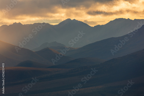 Scenic Autumn Landscape in Denali National Park Alaska