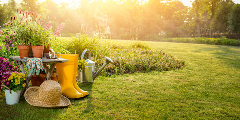 Gardening tools and flowers in the garden