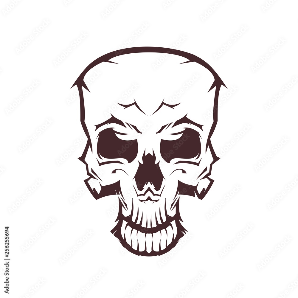 Skull Head Illustration Line Art