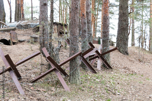 Anti-tank hedgehogs in the woods.