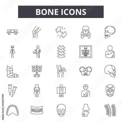 Bone line icons for web and mobile. Editable stroke signs. Bone  outline concept illustrations