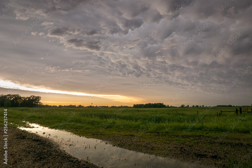 Mammatus clouds below the anvil of a severe thunderstorm over the plains of Nebraska. The sky is reflected in the water of a pool.