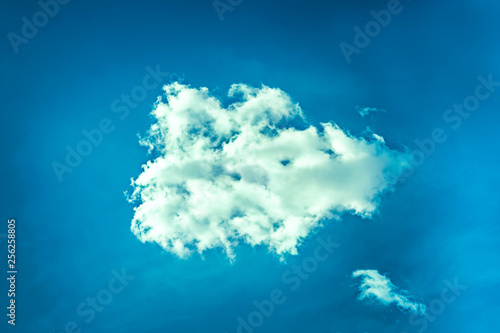 hand reaching a little white cloud in a clear  blue sky.Concept