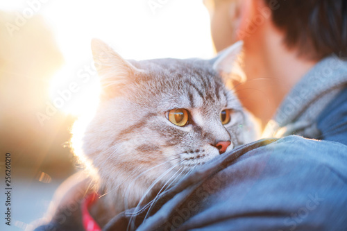 Man in the park holding his lovely fluffy cat and enjoying sunset. Boy and his gray cute kitten walking together outdoor. Seasons, pets, friendship, relationship, lifestyle concept. Friend of human. photo