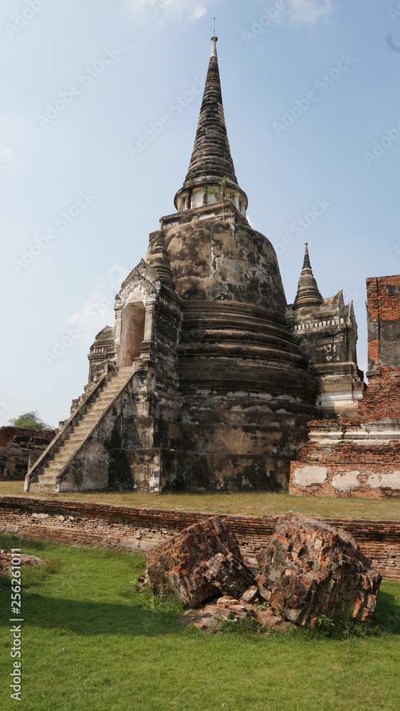 Fototapeta premium temple in ayutthaya thailand