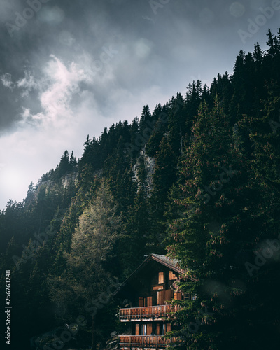 Hütte im Wald in den Bergen 