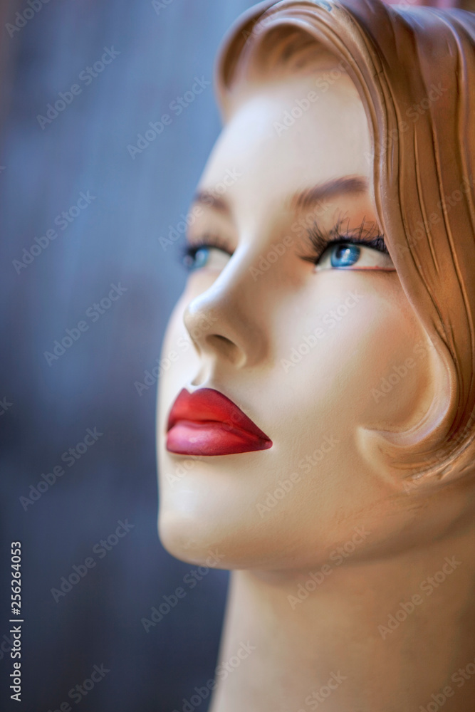 Pasteboard model Pasteboard model