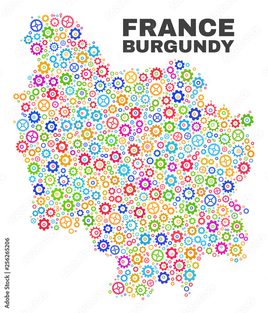 Mosaic technical Burgundy Province map isolated on a white background. Vector geographic abstraction in different colors.