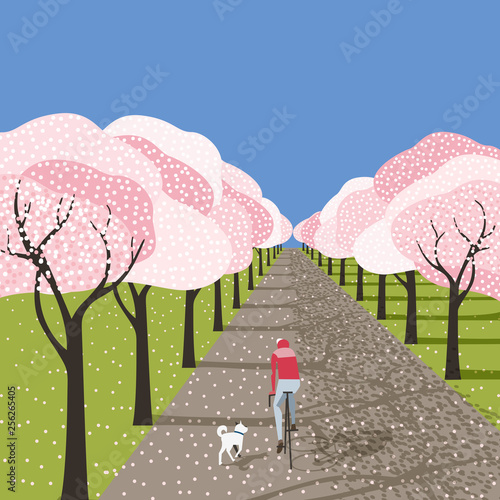 Hand drawn blooming sakura alley