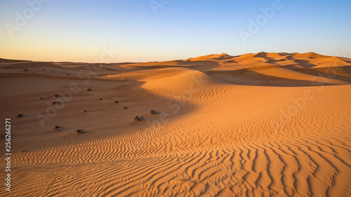 Dubai Wüstenlandschaft