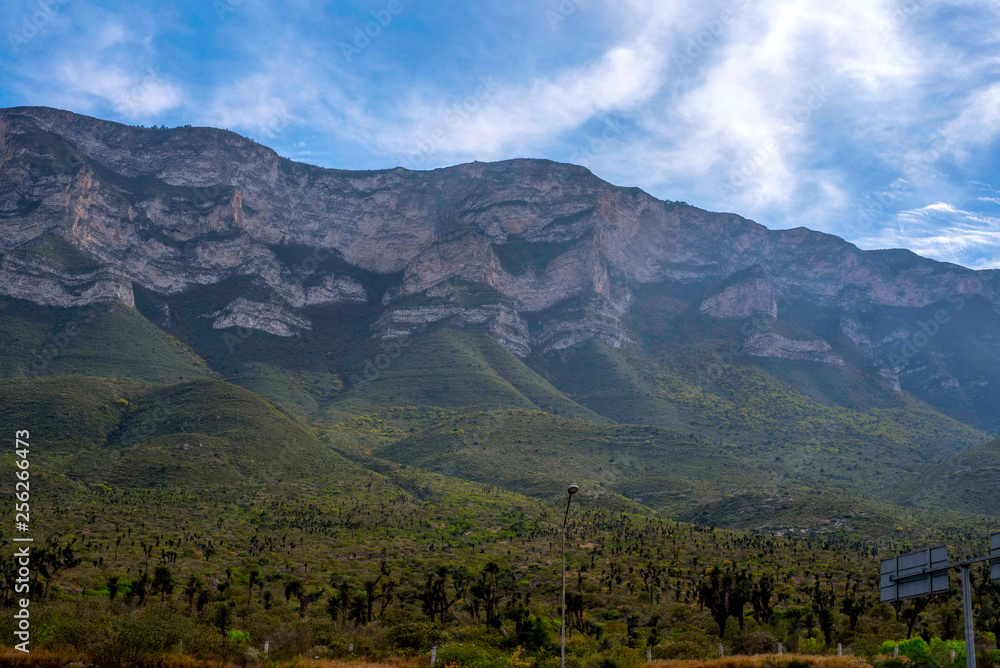 Fototapeta premium Sierra Madre Oriental