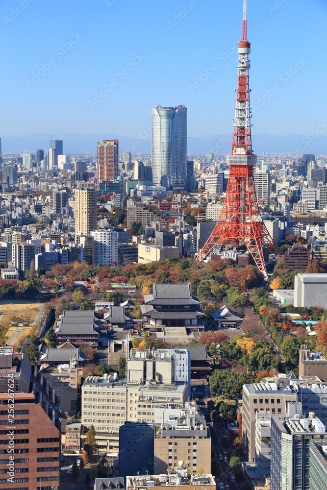 Obraz premium Tokyo, Japan