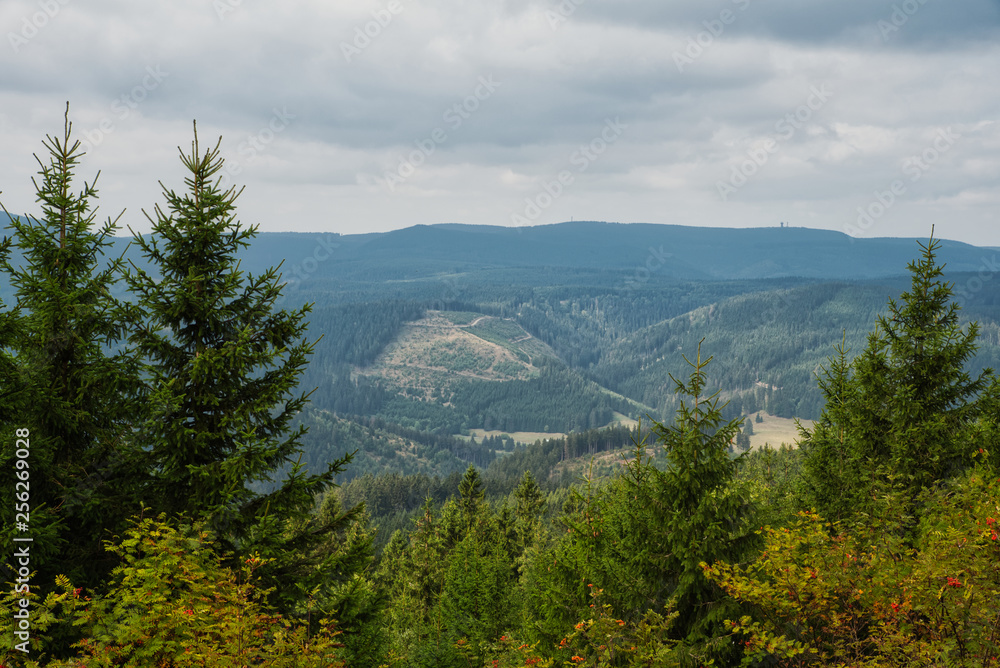 Aussicht im Thüringer Wald
