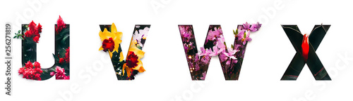 Flower font letter u, v, w, x Create with real alive flowers and Precious paper cut shape of alphabet. Collection of brilliant bloom flora font for your unique text, typography with many concept ideas photo