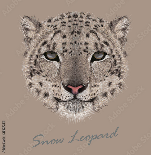 Snow leopard animal cute face. Vector Asian Irbis head portrait. Realistic fur portrait of snow wild spotted panther isolated on beige background.