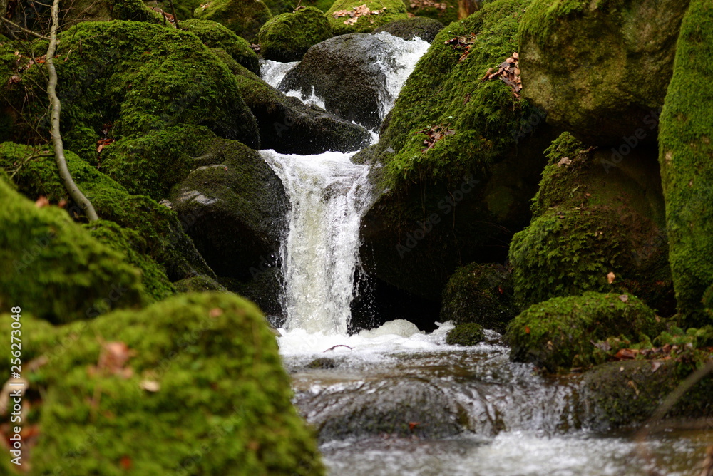 Wasserfall mit Moos und Steinen